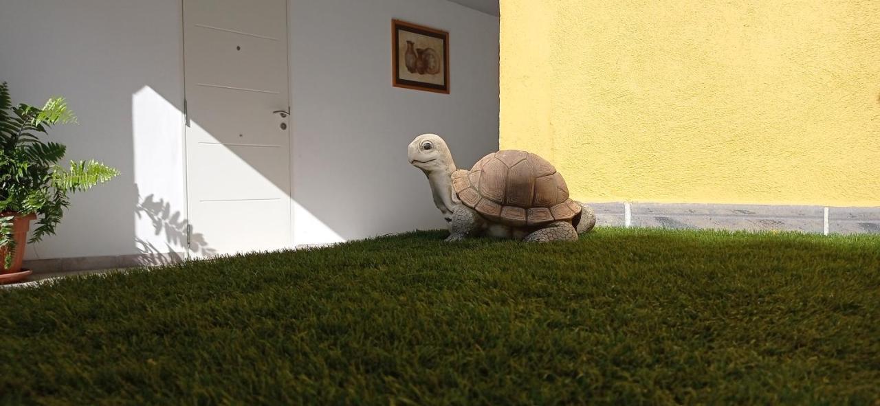 Parque La Guina Daire La Orotava Dış mekan fotoğraf