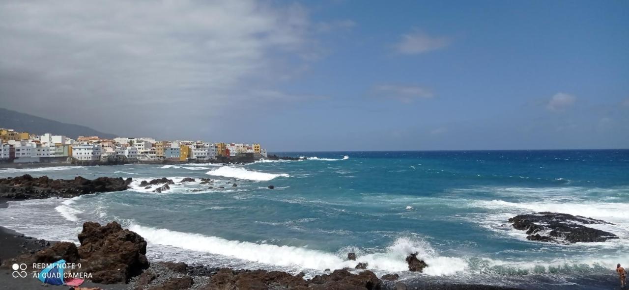 Parque La Guina Daire La Orotava Dış mekan fotoğraf